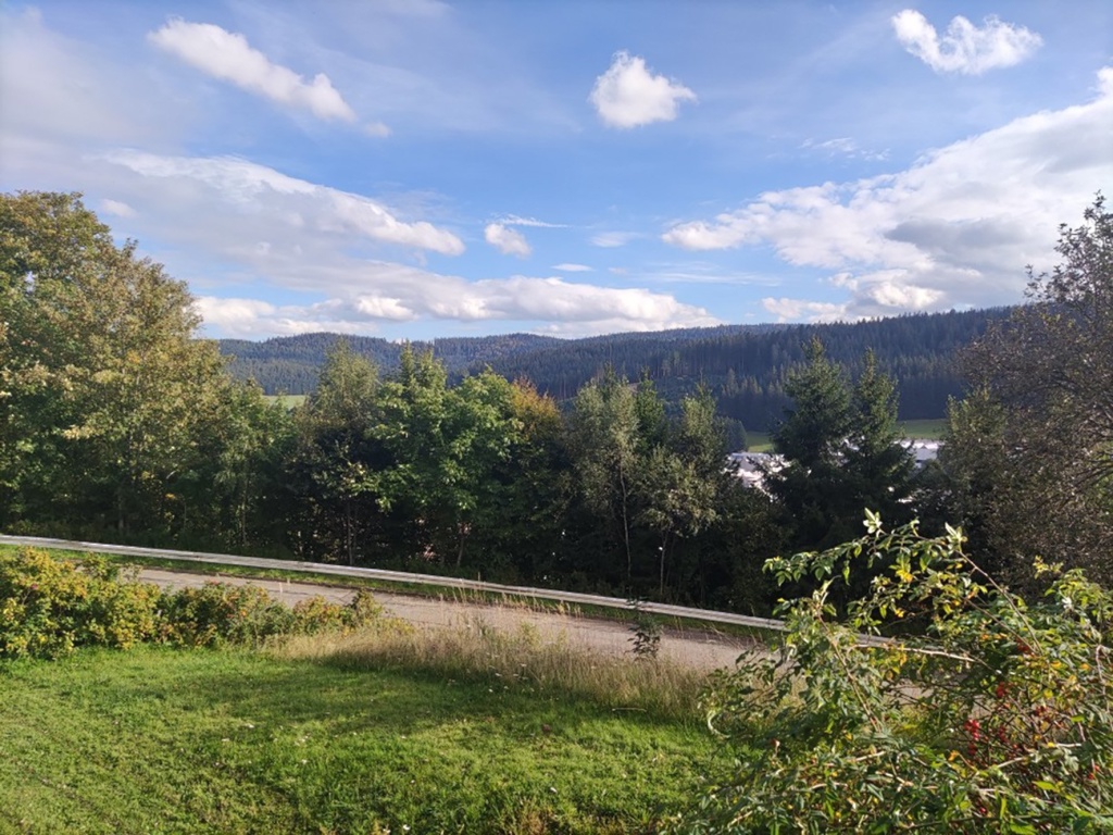 Flatshare Hochschulnähe Bodenwald 9 - picture 10