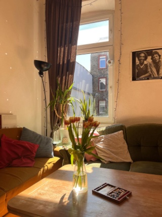 Ad image: WG-Zimmer mitten im Jungbusch (6er WG)