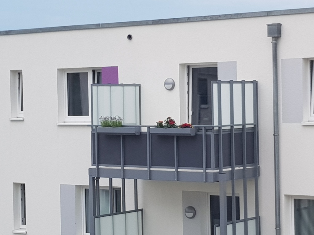 WG-Zimmer Hallaus Hof Kreuzberger Straße 15a - Bild 9