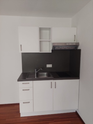 Imagen del anuncio: Befristete 1-Zimmer-Wohnung direkt am Neckar