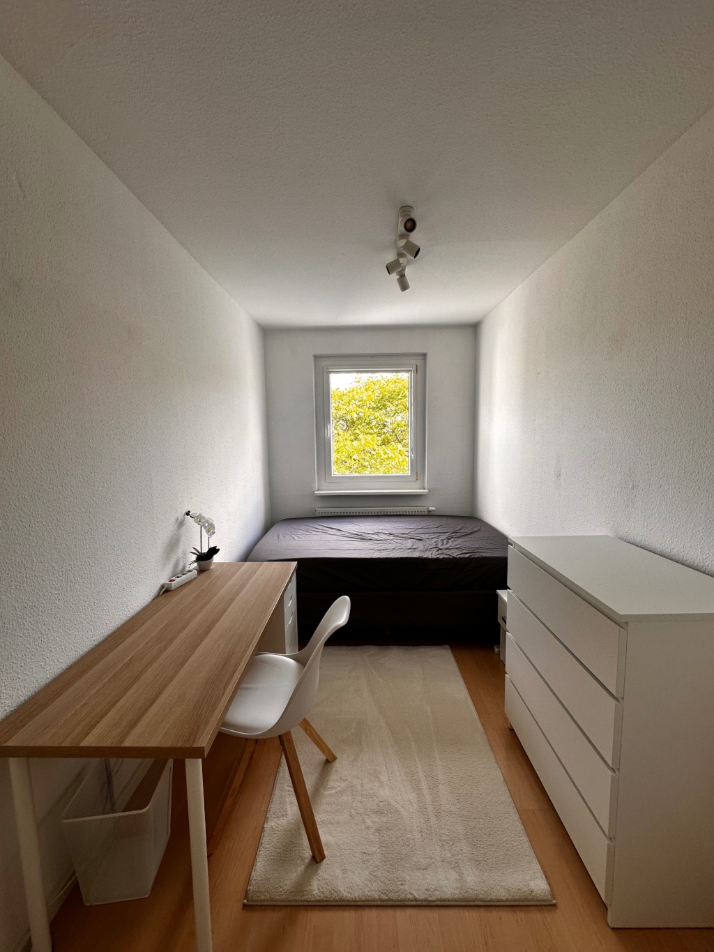 WG-Zimmer Mitte Linienstraße - Bild 1