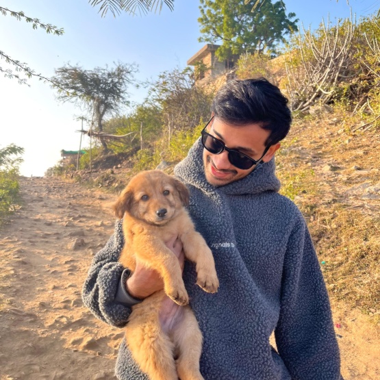 Anzeigenbild: Ruhiger, zuverlässiger Mieter sucht Wohnung / WG