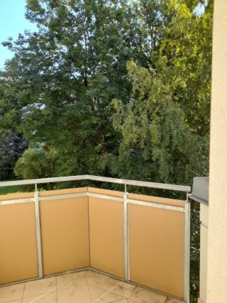 Anzeigenbild: WG Zimmer in sympathischer 3er WG in Jakomini