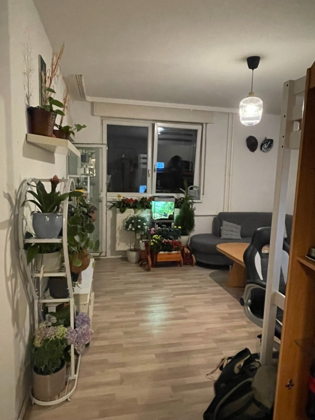 WG-Zimmer Kreuzberg Johanniterstraße - Bild 8