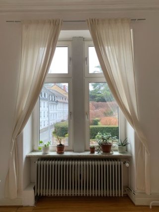 Ad image: Schönes Altbauzimmer am Schloss zur Untermiete