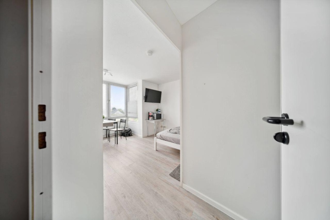 Beautiful fully furnished 1-Room Studio – 39122 Magdeburg Westerhüsen – Vorschaubild 8