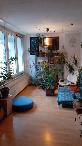 Anzeigenbild: sonniges Zimmer am Marktplatz