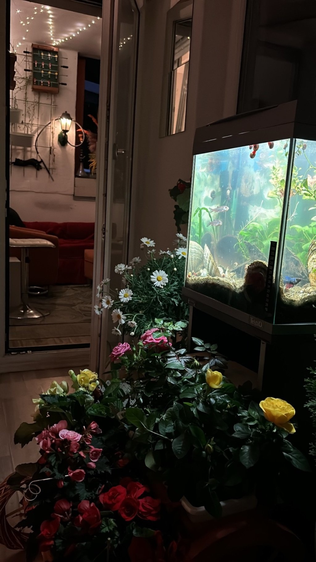 WG-Zimmer Kreuzberg Johanniterstraße - Bild 12