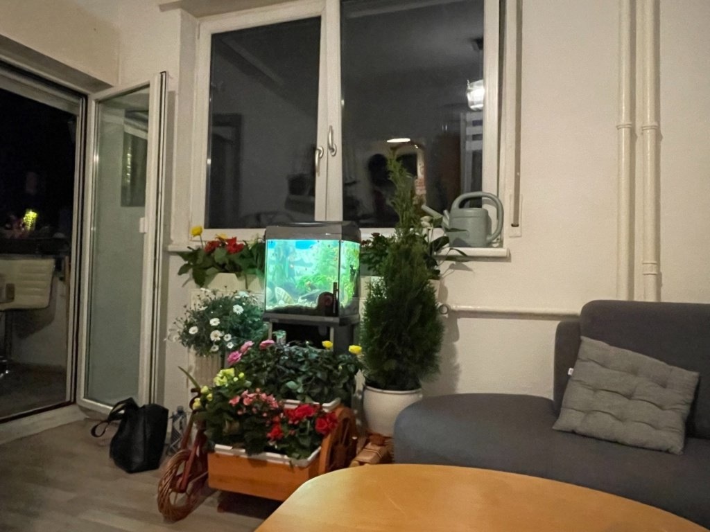 WG-Zimmer Kreuzberg Johanniterstraße - Bild 15