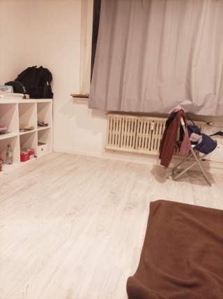 Anzeigenbild: flat share