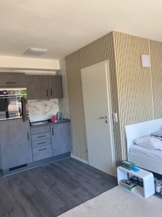 Imagen del anuncio: Exklusive 1-Raum-Wohnung mit Bad und Küche + Balkon in Tübingen