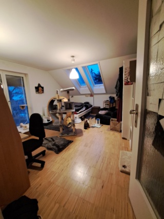 Anzeigenbild: Mitbewohnerin für zweier WG in Moosach gesucht!