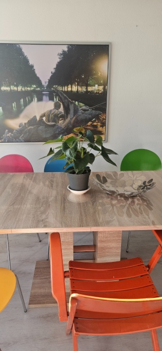 Anzeigenbild: WG Neugründung / Preis all in/ Möbiliert im Zentraum und ruhig- Newly established shared apartment, fully furnished (upon request)