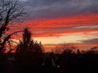 Anzeigenbild