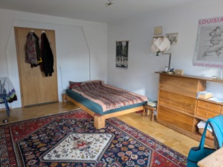 Anzeigenbild: WG Zimmer in großem Haus, 530€ warm