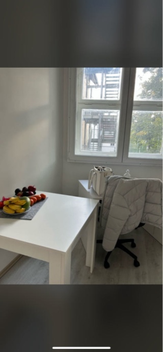 1-Zimmer Wohnung zur Untermiete