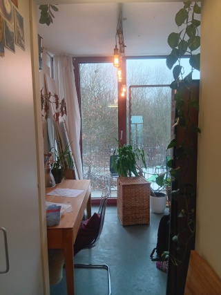 Anzeigenbild: helle 1 Zimmerwohnung an Student*in von April bis August zu vermieten