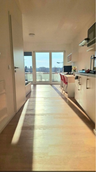 Imagen del anuncio: Voll möblierte, helle, moderne Einzimmerwohnung – zur Untervermietung