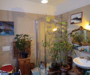 Ad image: Wohnung frei zur Zwischenmiete im Hausprojekt