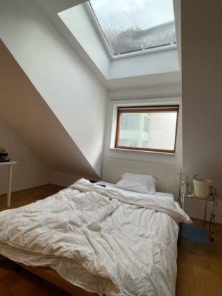 Möbliertes WG-Zimmer, 15 m², Währing, Währing
