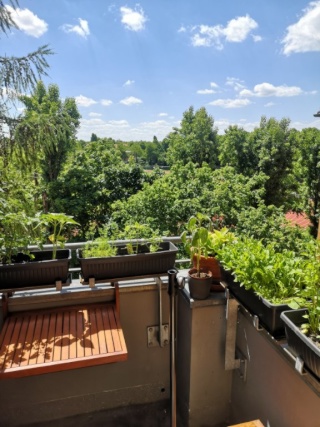 Sonnige 3 Zimmer, 52 m2 ++ Zwischenmiete/Sublet ++ mit Balkon — photo 1