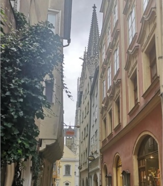 Anzeigenbild: Cozy Fully Furnished Room near OTH & HAUPTBAHNOHF (2 Options Available)