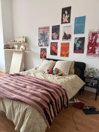 central a big WG looking for a roommate