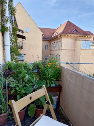 hübsches Altbau-Zimmer in zentraler Lage