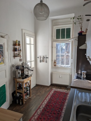 Wg Zimmer in schöner Altbauwohnung