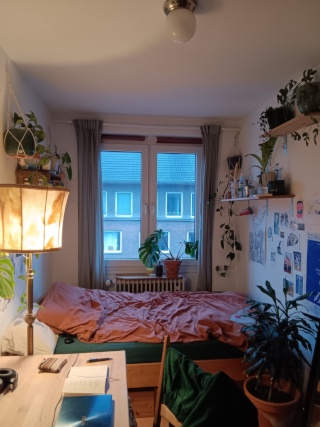 Anzeigenbild