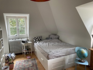 Anzeigenbild: Sommer in Freiburg