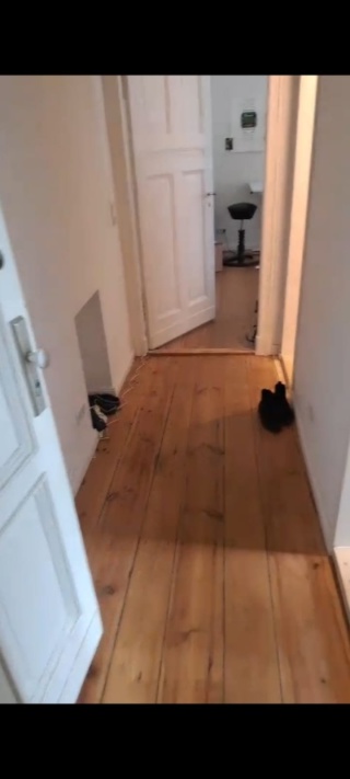 2 Zimmer-Wohnung in Berlin Kreuzberg — photo 1
