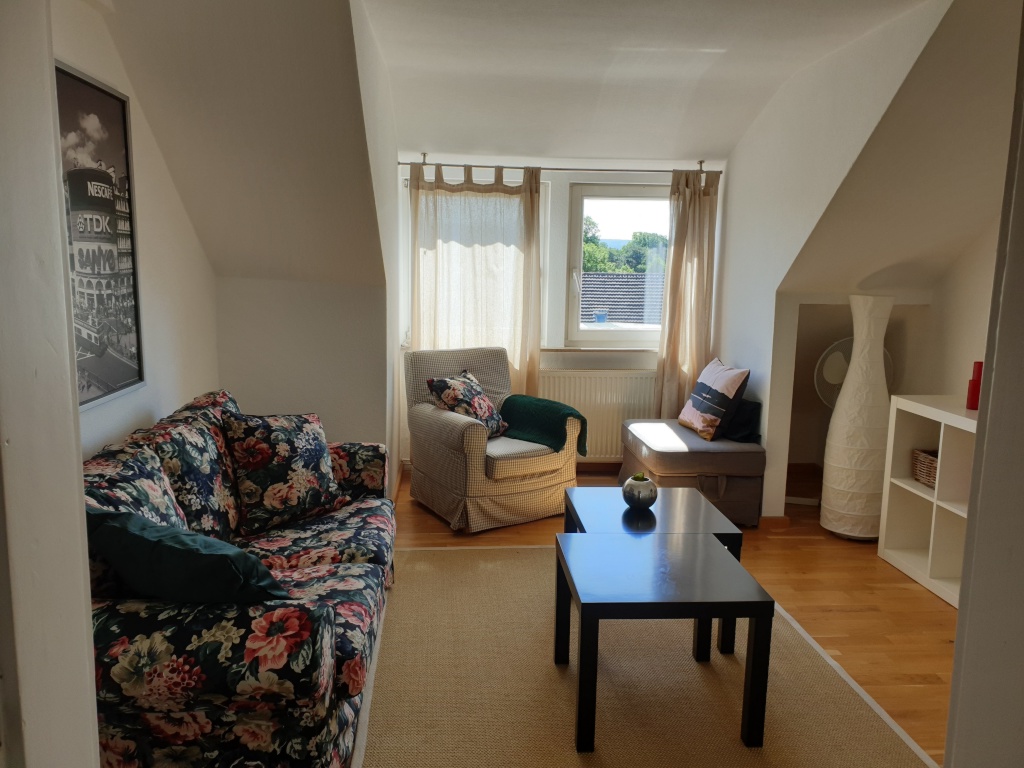 WG-Zimmer Südstadt Frankfurter Straße 113 - W7 - Wohnzimmer