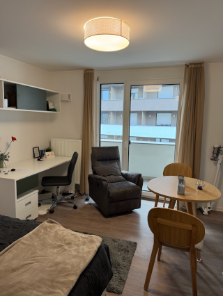 Imagen del anuncio: 1-Zimmer Wohnung/Studio zur Untermiete