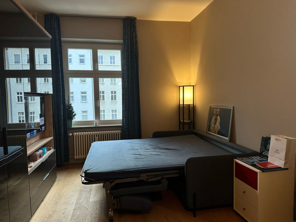 Wohnung Friedrichshain Marchlewskistraße - Bolia Sofa Bed in the living room