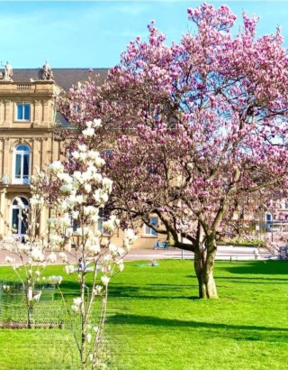 Anzeigenbild: WG Neugründung in Stuttgart-Sindelfingen Nähe S-Bahn / Daimler / Ikea