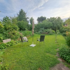 Anzeigenbild: 40m2 house available for rent