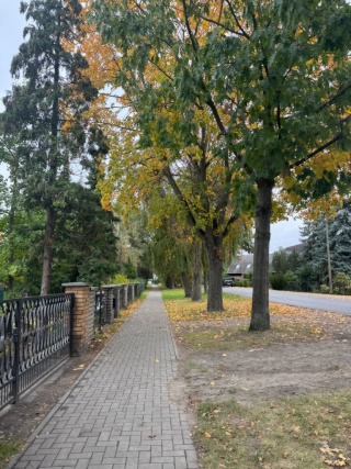 Two sharing spacious room with necessary facilities