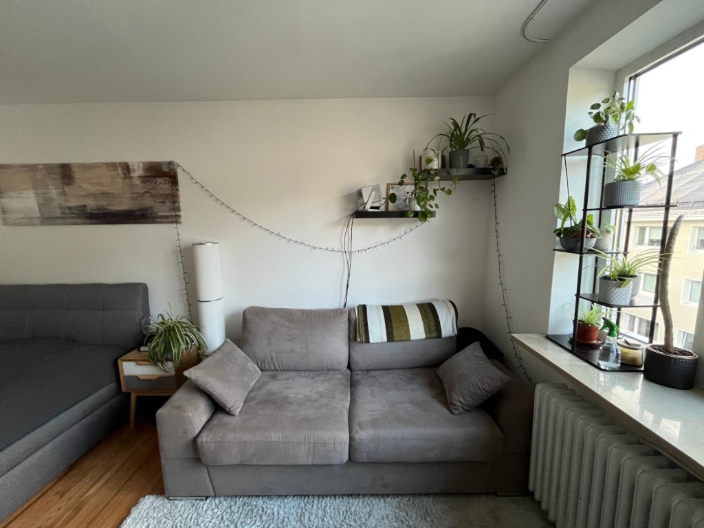 Flatshare Ludwigsvorstadt-Isarvorstadt Waltherstrasse - picture 5