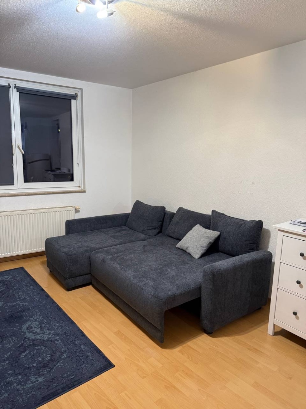 1-Zimmer Studio Lichtenberg 01.10.2026 - 01.01.2027 800eur pro monat