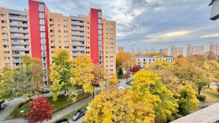 Anzeigenbild: Häusliches & ruhiges Apartment