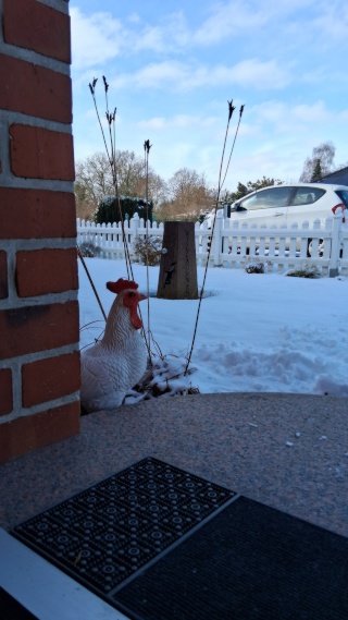 Ad image: Zwischenmiete möblierte 2 Zimmer Wohnung mit Wohnküche