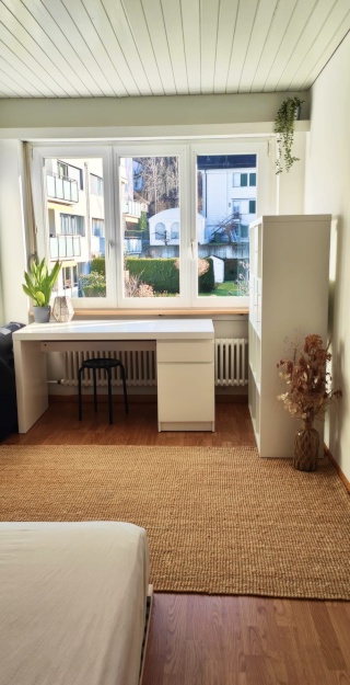 gemütliche RiesenWohnung sucht MB, 2er WG