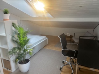 Imagen del anuncio: Großzügiges, helles Zimmer in Berufstätigen-WG I Nähe Porsche I 3 Balkone I im Grünen I Dachterrasse I möbeliert I gemütlich
