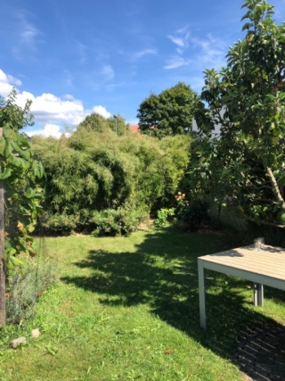 1 schönes WG-Zimmer für kontaktfreudige achtsame outdoorsportliebende Fahrradfahrer:innen in Berufstätigen-Wohnung mit Garten