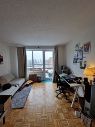 WG Zimmer mit Balkon in geräumiger Wohnung in Lüneburg Zentrum