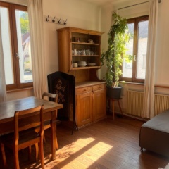 WG Zimmer in super zentraler Altbauwohnung