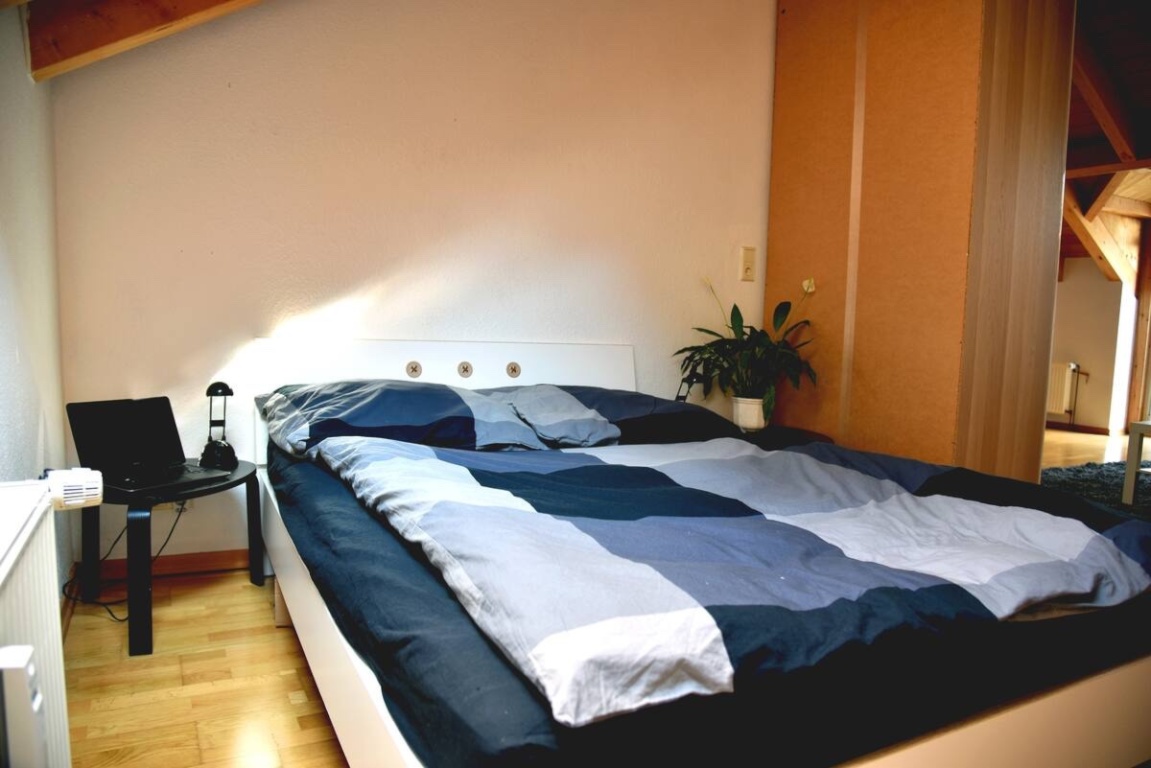 COZY APARTMENT in Bonn Zentrum (November 2026) – Florentiusgraben, 53111 Bonn Zentrum – Vorschaubild 12