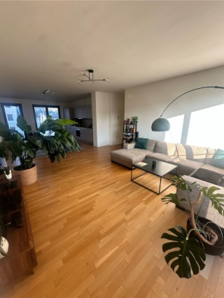 Bright Room in open shared modern flat on boarder of Mitte and Kreuzberg - includes rooftop terrace