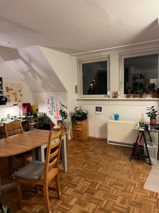 Anzeigenbild: Untermiete März bis Juni/Juli in Westend/Schwanthalerhöhe